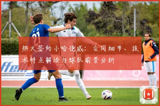 热火签约小哈德威：合同细节、技术特点解读与球队前景分析